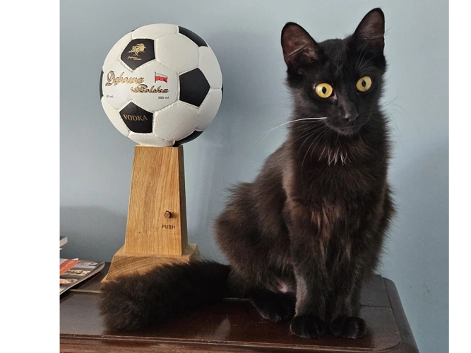 Nutmeg