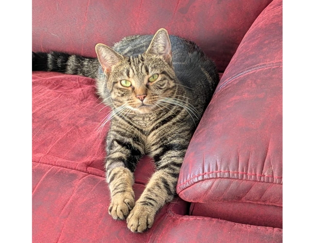 Rosie