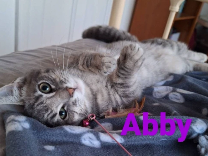 Abby