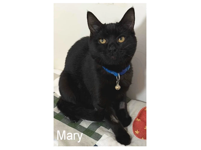 MARY