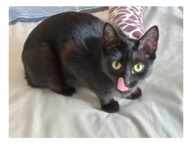 Sookie