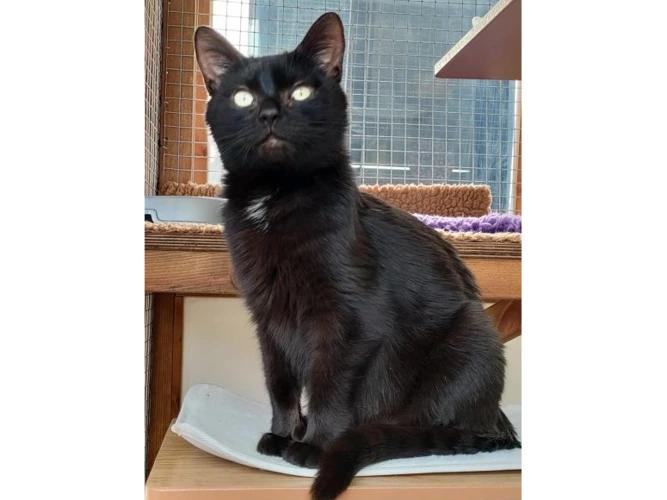 Tara