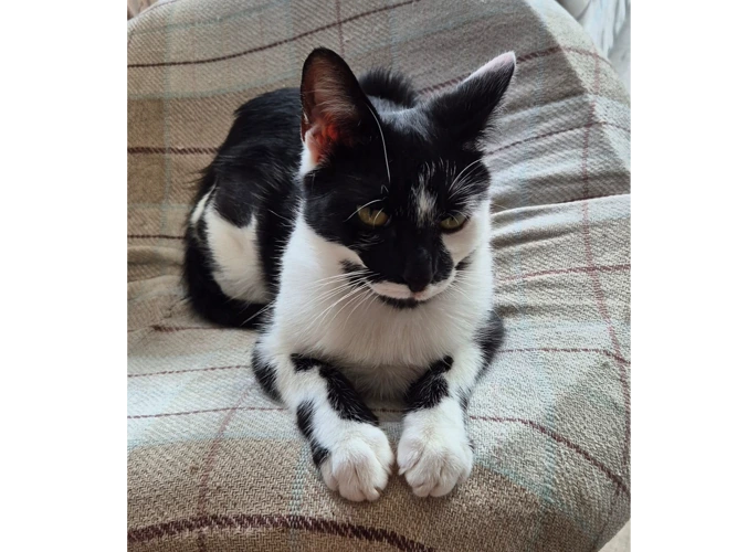 Bella