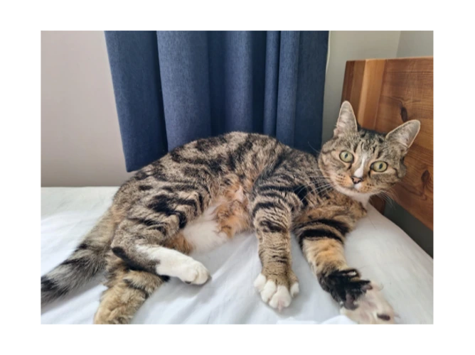 Chloe