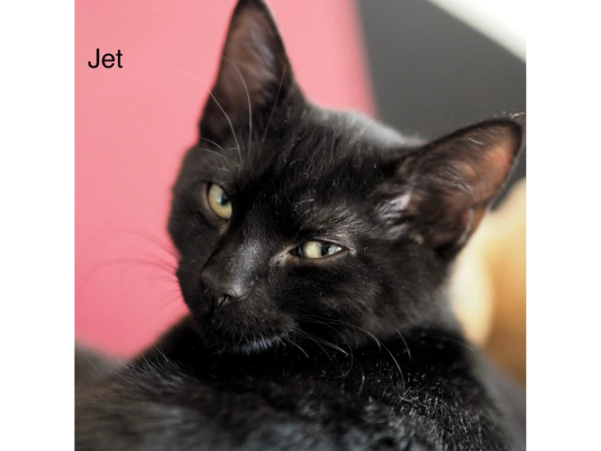 Jet