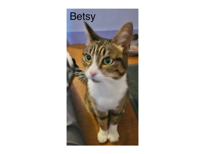 Betsy