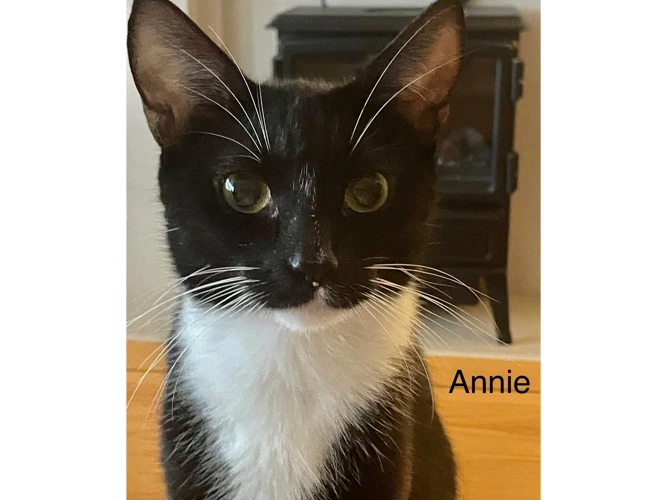 Annie