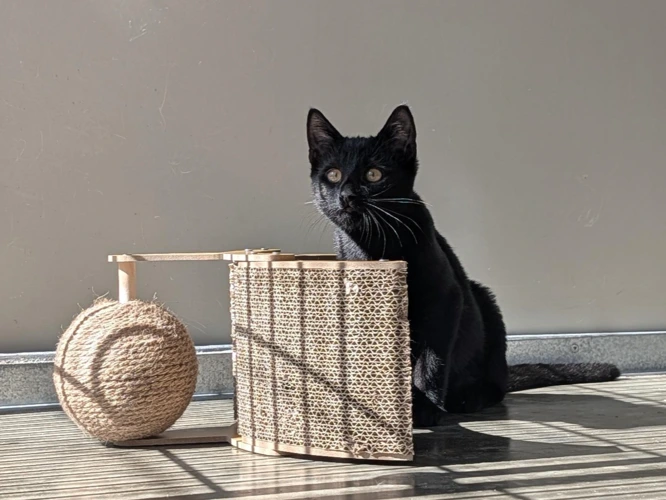 Sugar and Spice