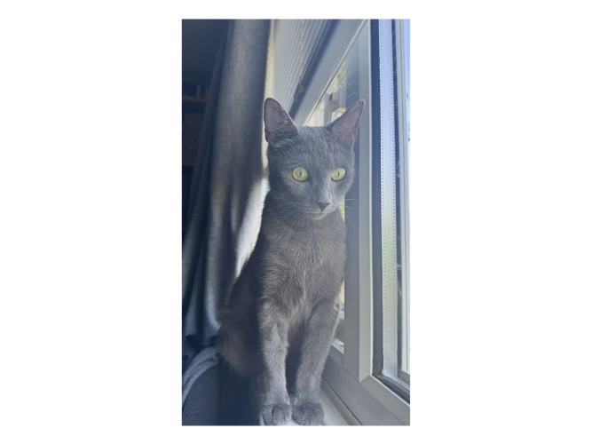 Pearl