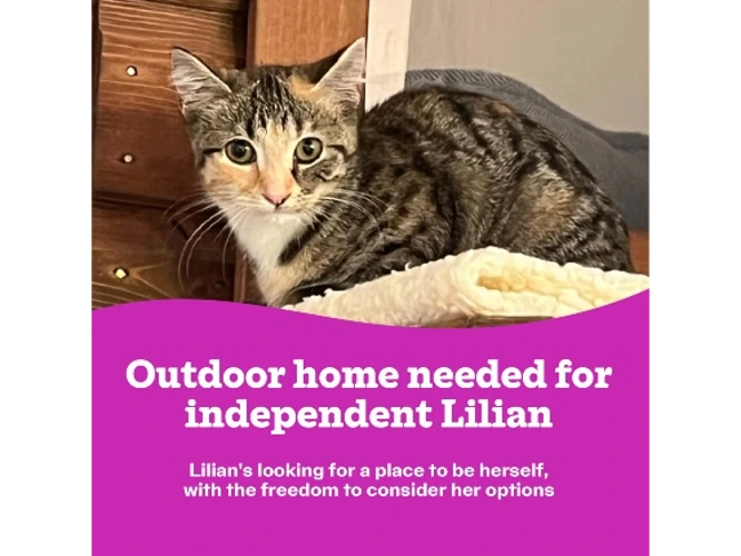 Lilian