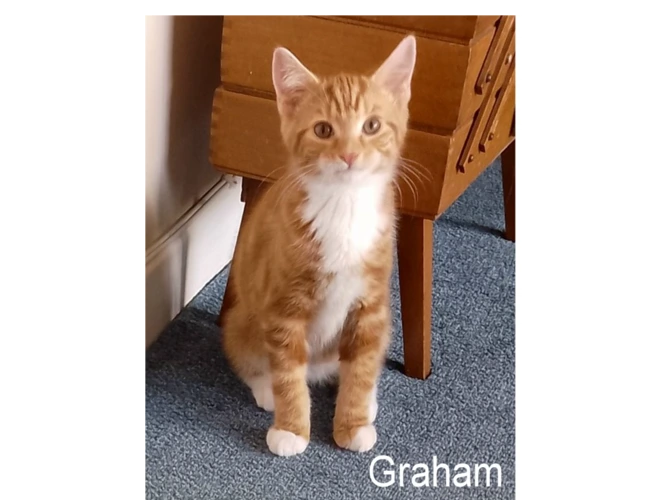 GRAHAM