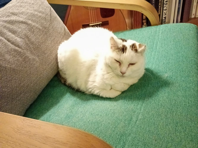 Etna