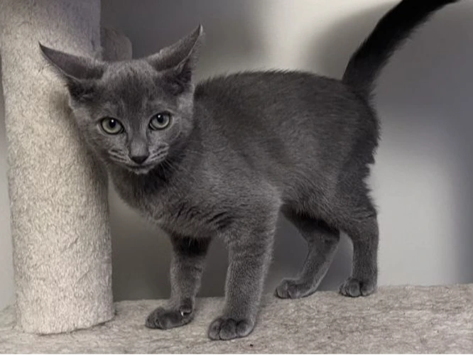 Ellie (see also Erin and Euan)