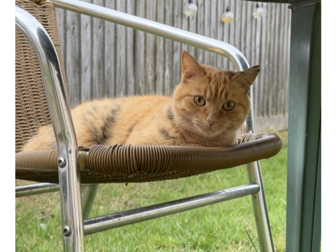 Lucy