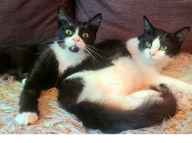 Mindy and Izzy