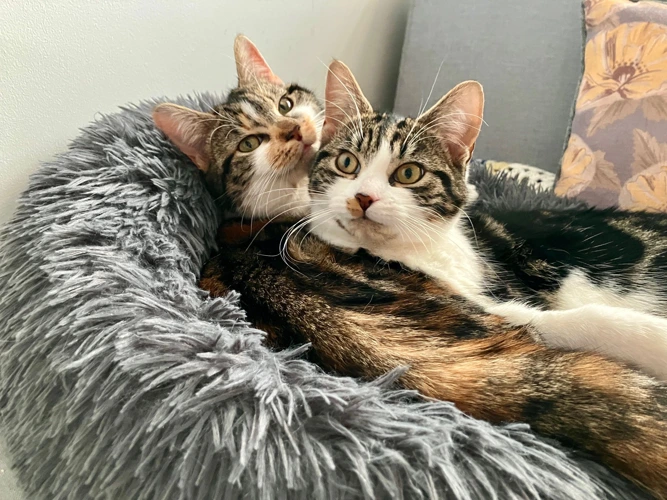 Dottie & Phoebe