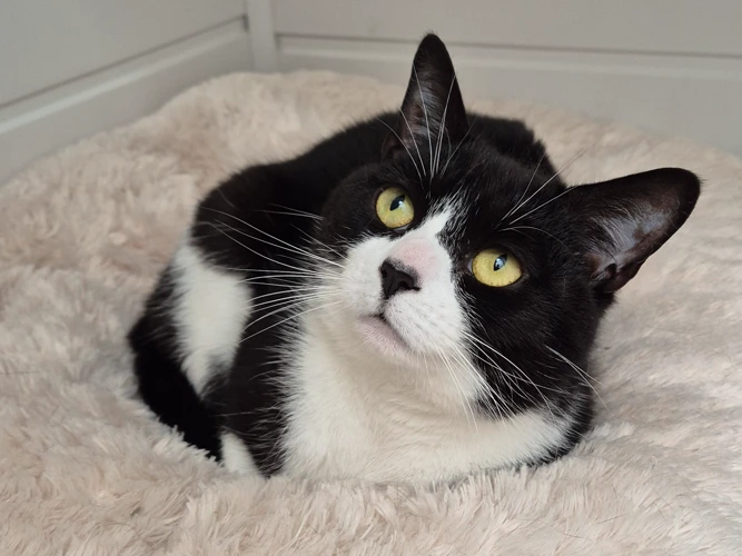 3-year-old Lilly