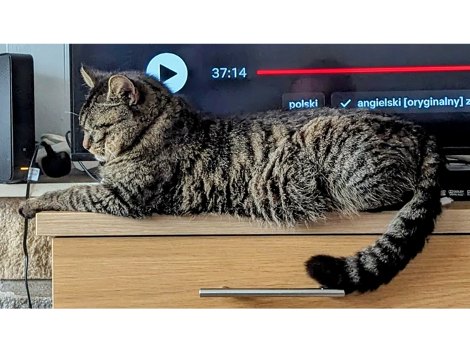 Kuba