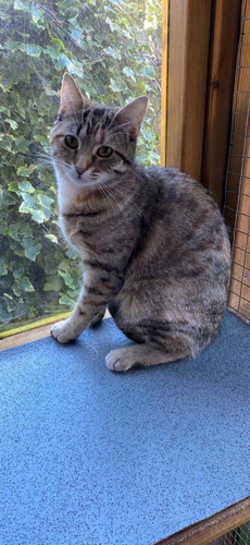 Titch