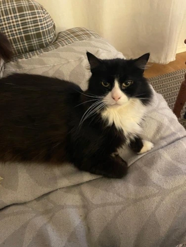 Milo
