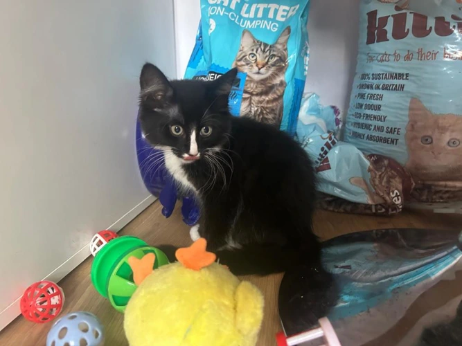 Fiyero
