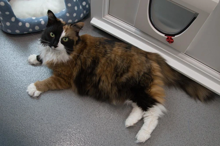 Rosie