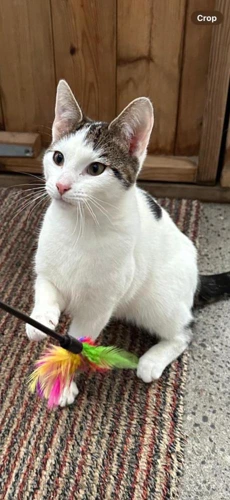 Max