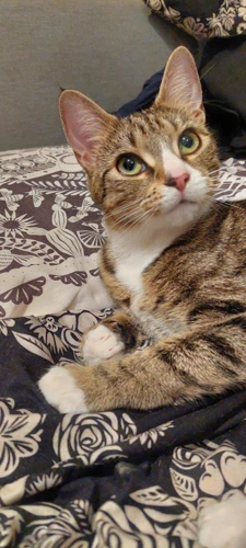 Luna