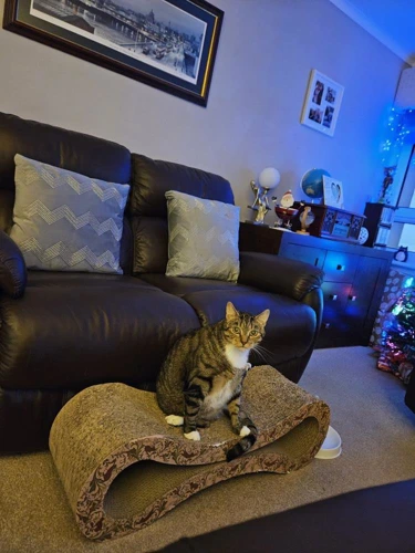 Tiggy