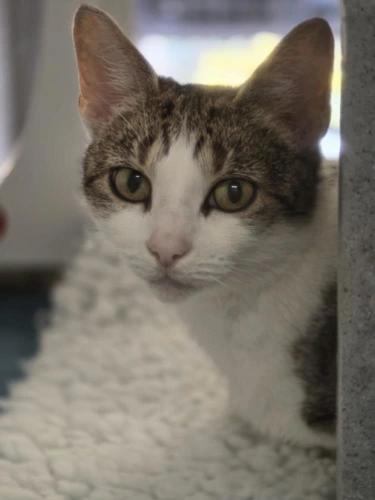Zoe
