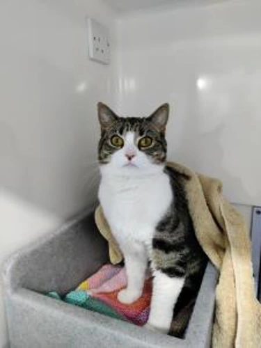 Lala Outdoor Home Needed