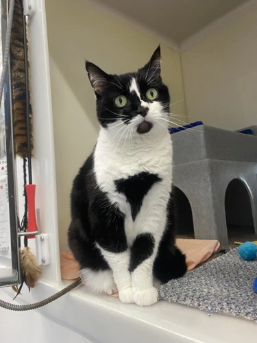 Pip