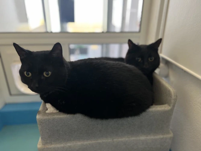 Zeus (& Hercules)