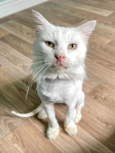 Casper
