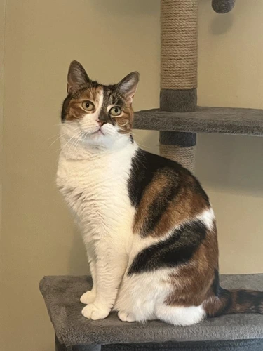 Smudge