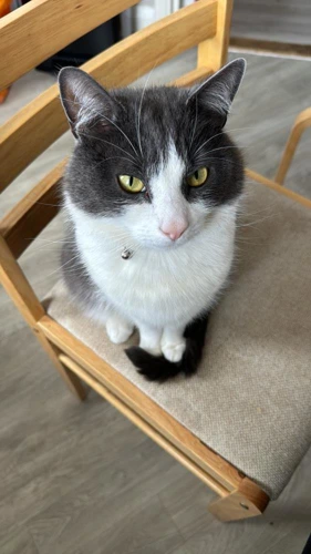 Stormi