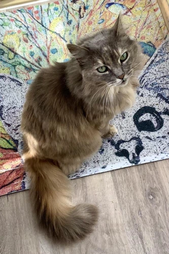 Fluff