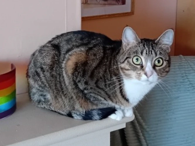 Luna