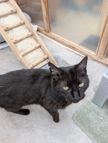 Smudge