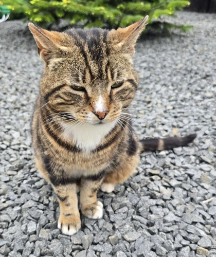 Duncan