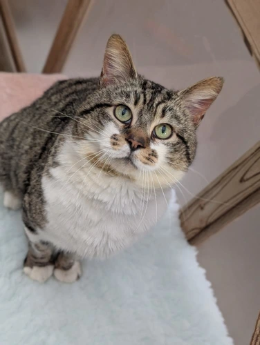 Frank