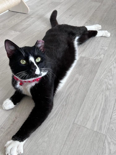 Tux
