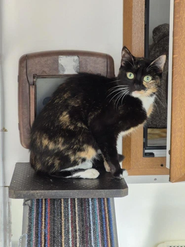 Luna