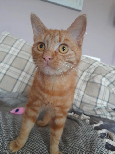 George