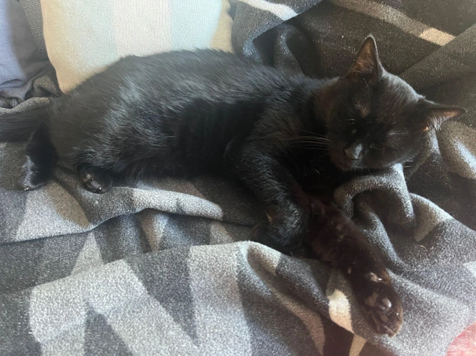 Kristoff