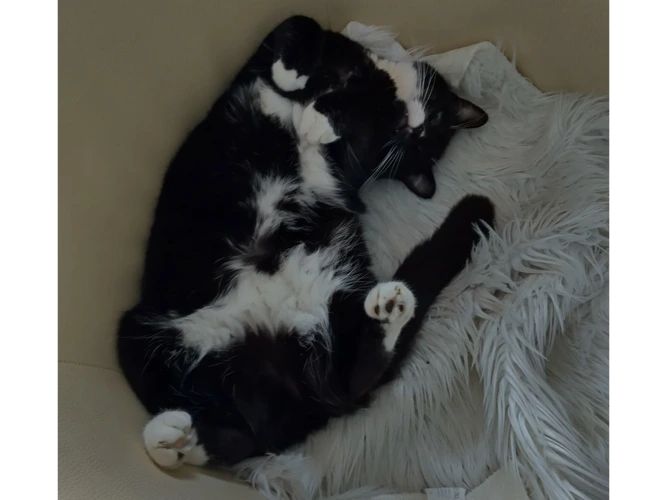 Rosie