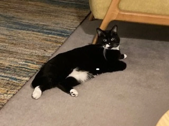 Rosie