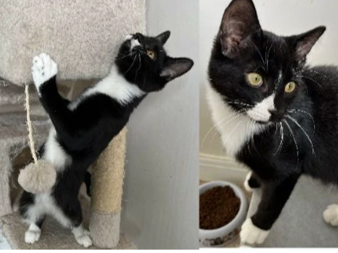 Maya & Marty