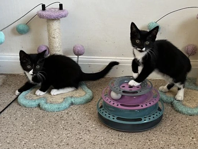Maya & Marty
