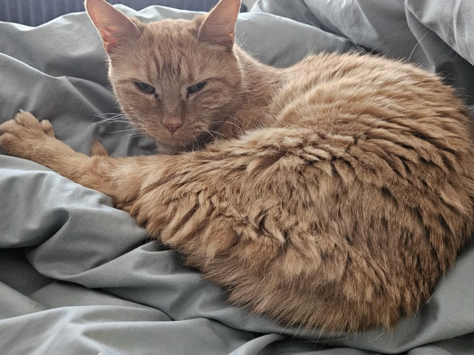 12-year-old Coco
